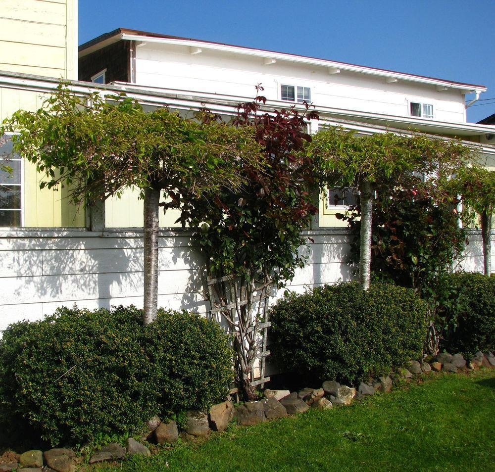 Pacific City Inn Eksteriør bilde